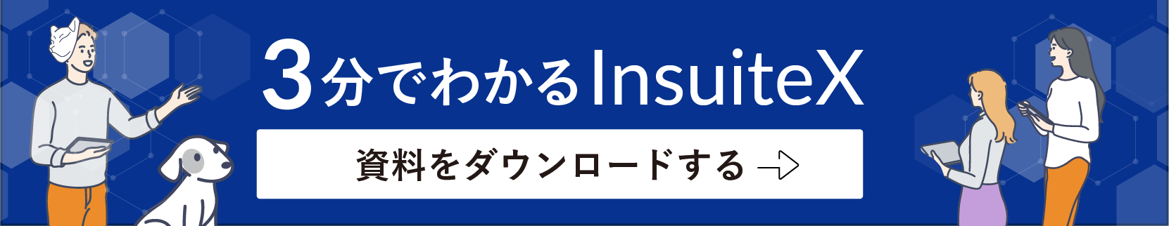 3分でわかるInsuiteX